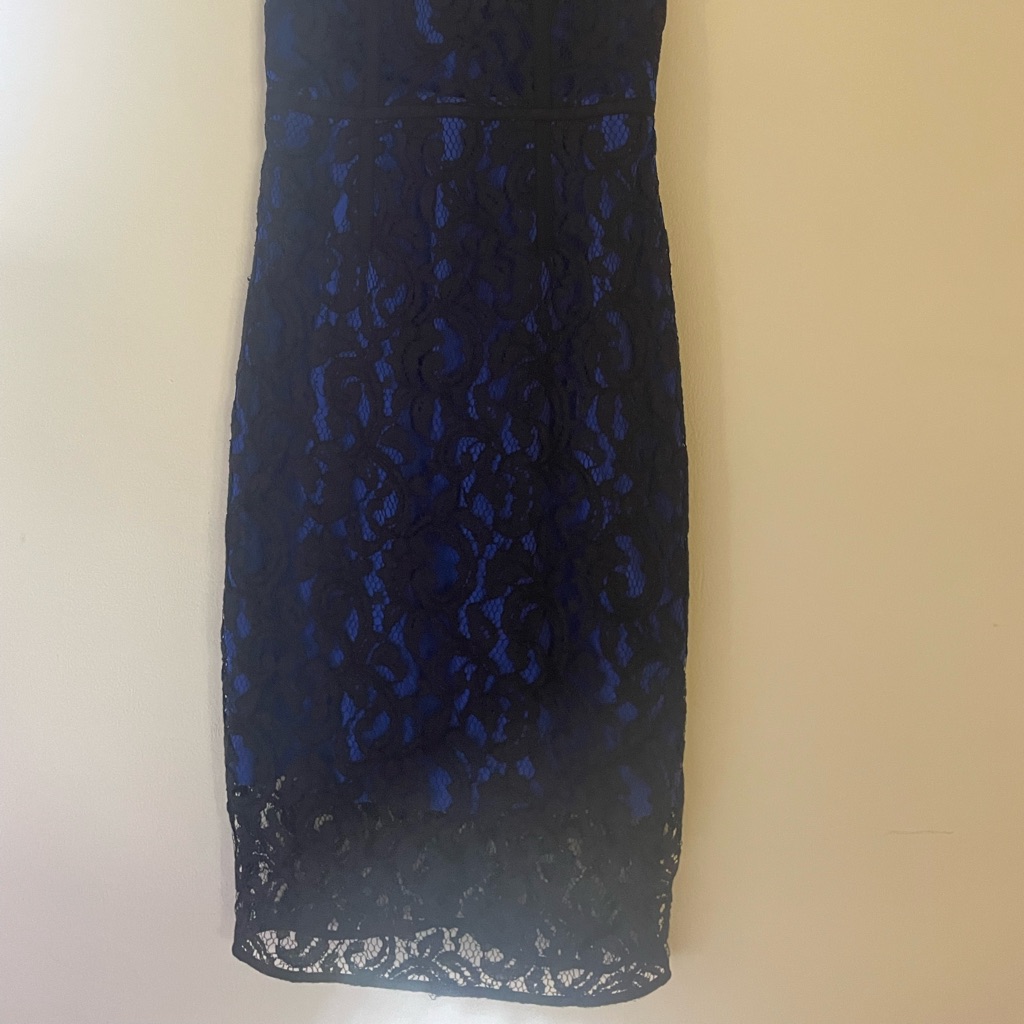 Vince Camuto Lace Panel Trumpet Gown